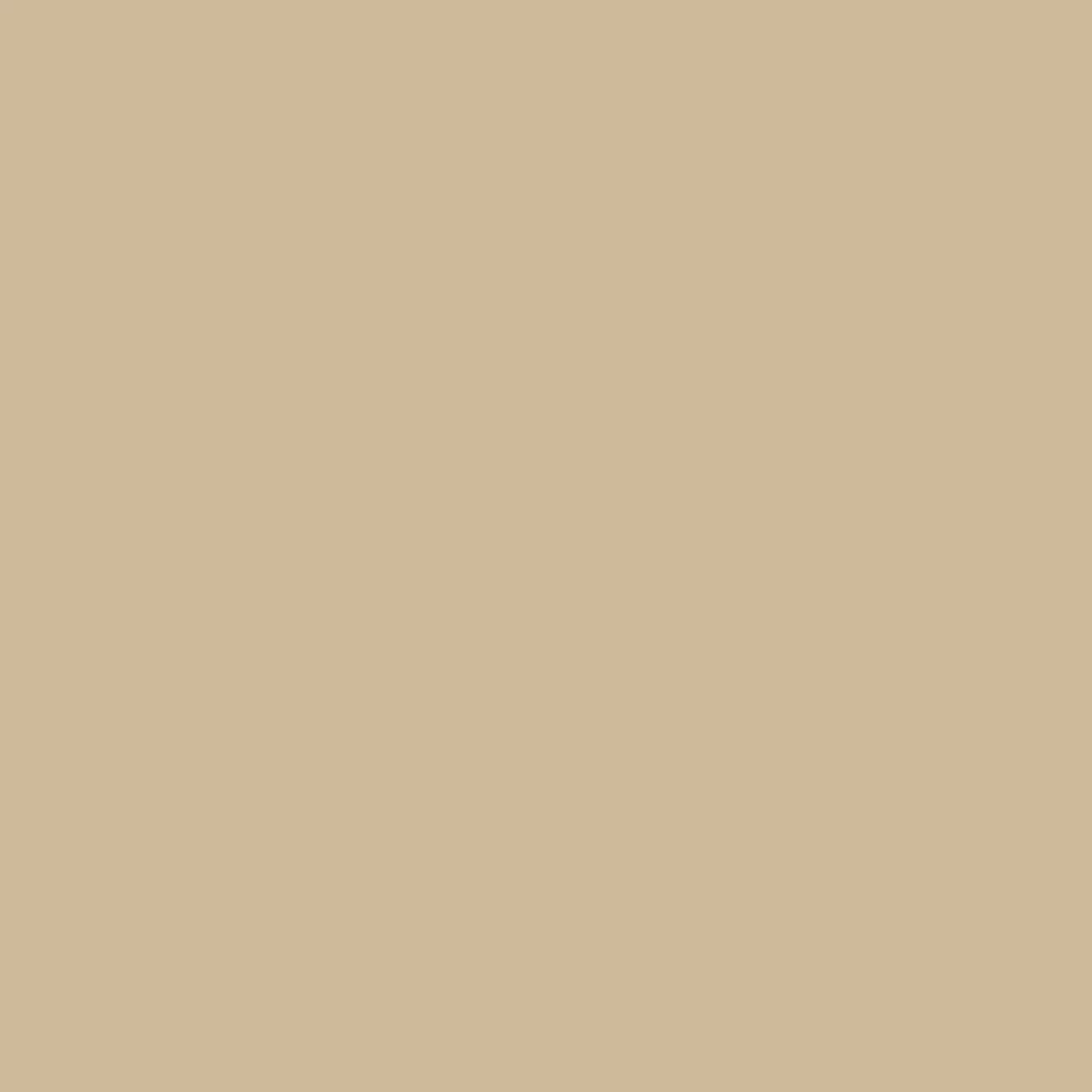 Beige Extra Matt