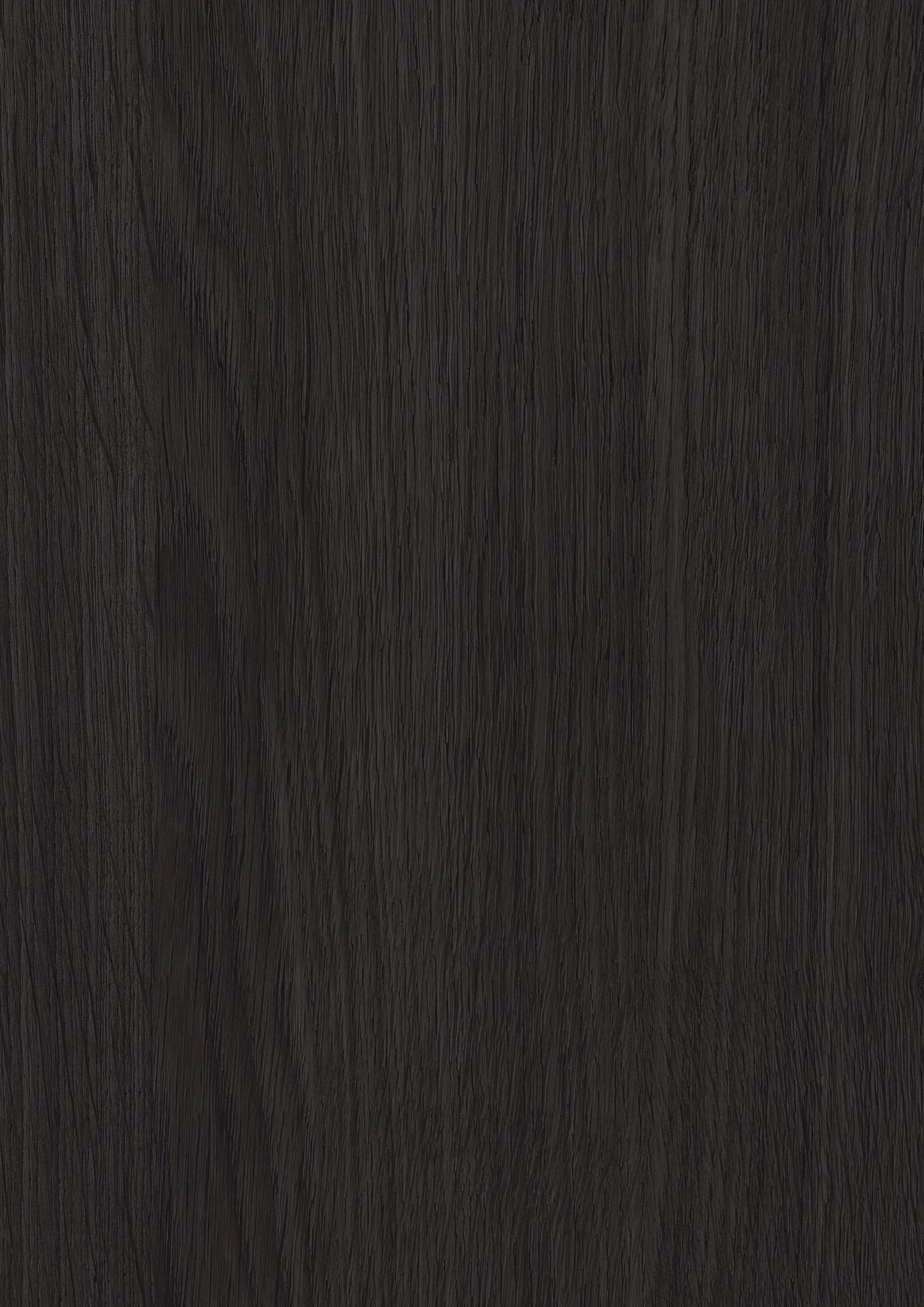 Rovere Siena