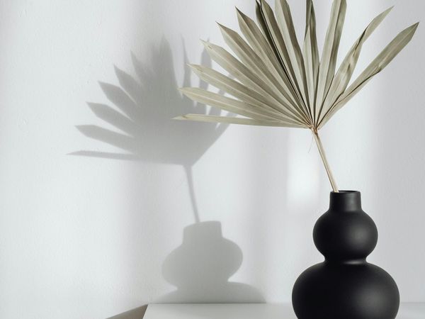 Pexels Photo 6958756.jpeg