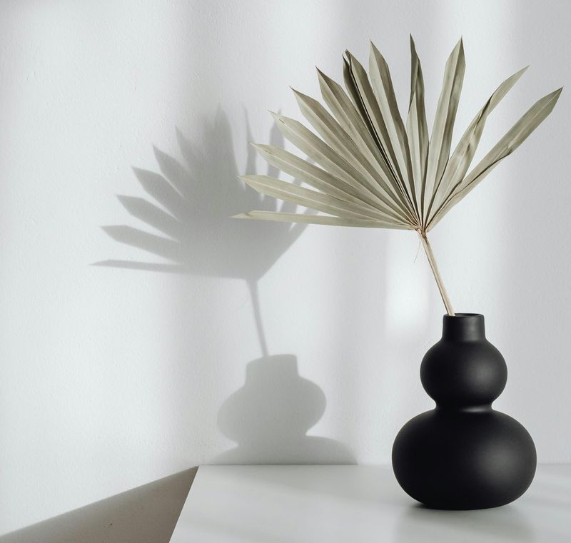 Pexels Photo 6958756.jpeg