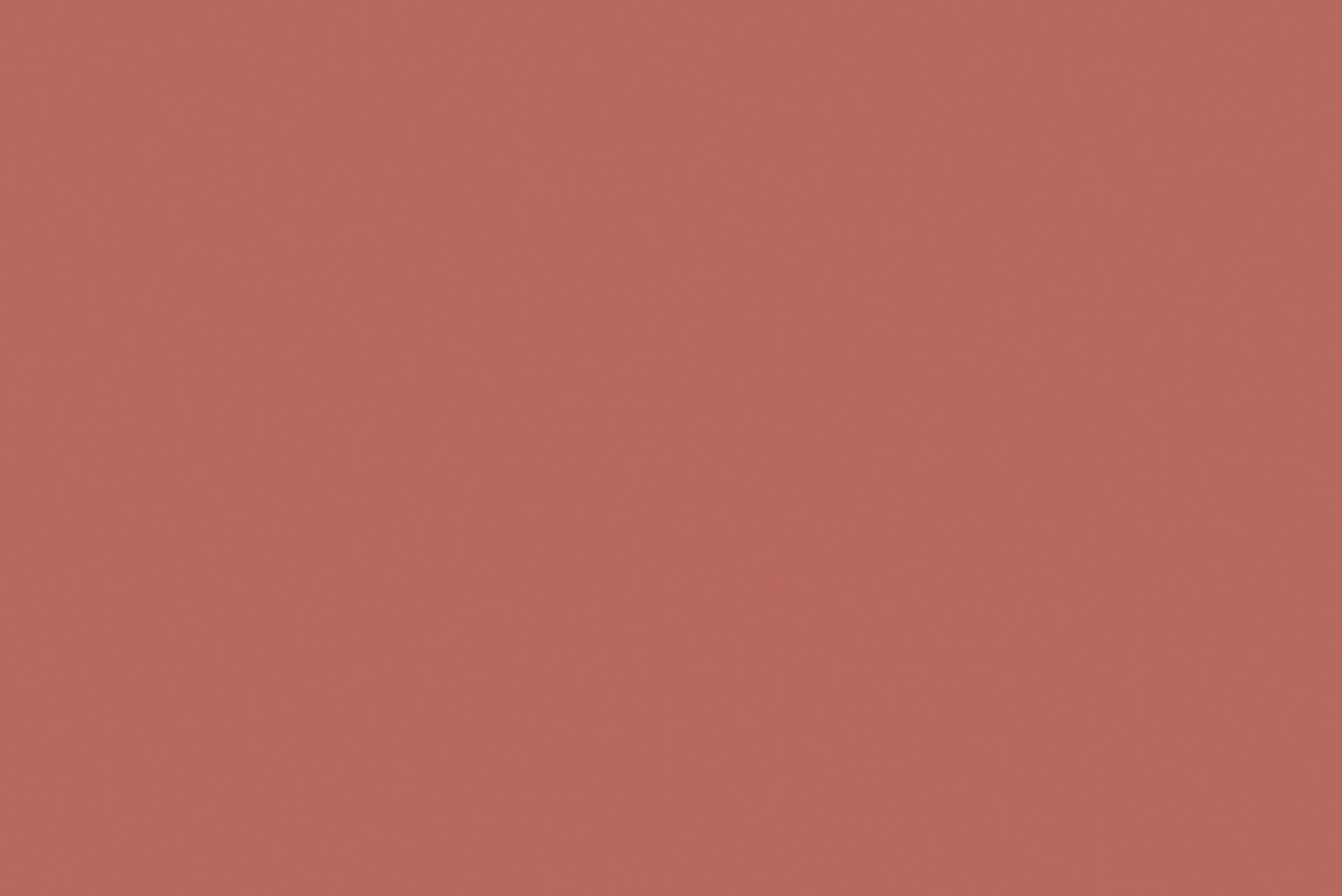 C023 Rosa Camelia