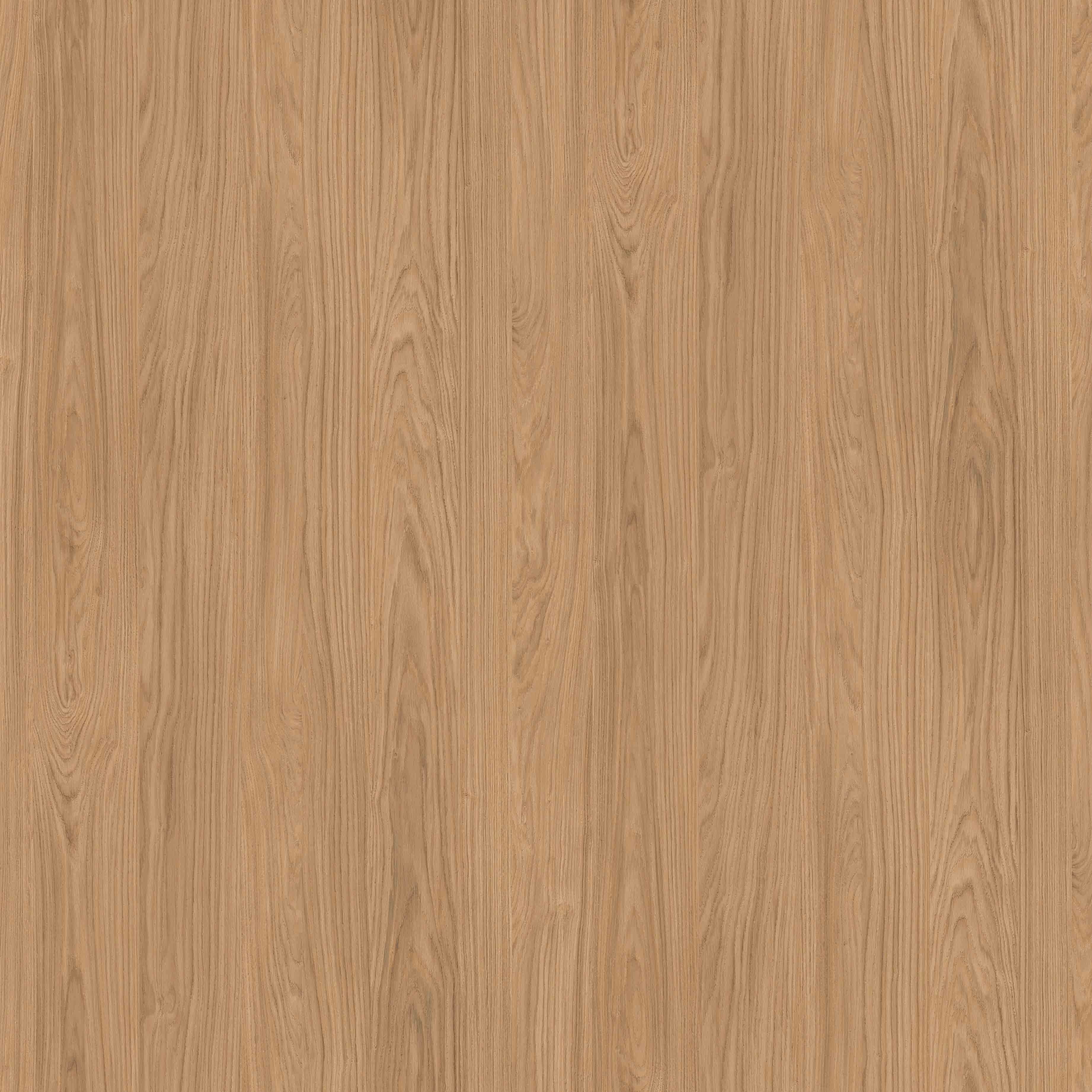 Rovere America