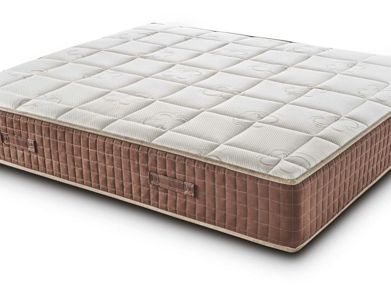 Butterfly Senza Sfondo Con Ombra Giusta Scaled.jpg