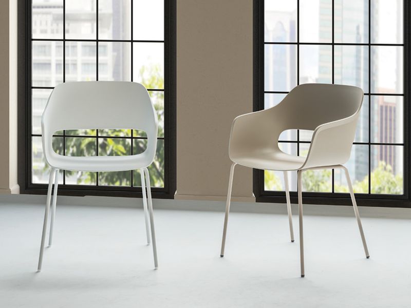 Bianca Scontornata Ambientata 1.jpg